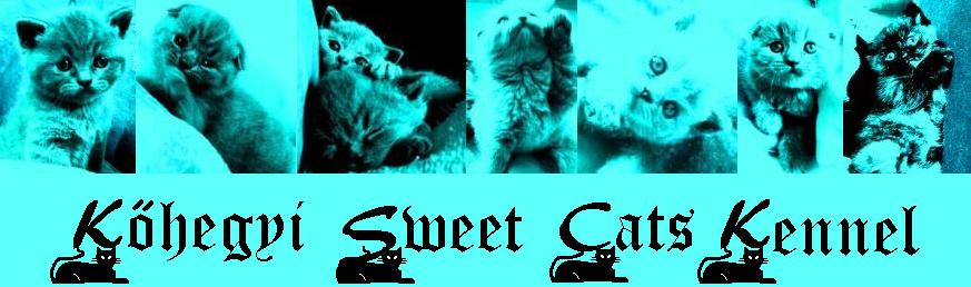 Khegyi sweet cats kennel honlapja
